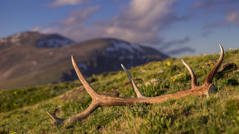 Фото: Bryce Bradford, visualhunt.com