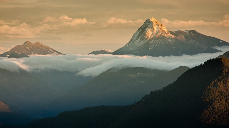 Автор: Mikali Источник: pixabay.com