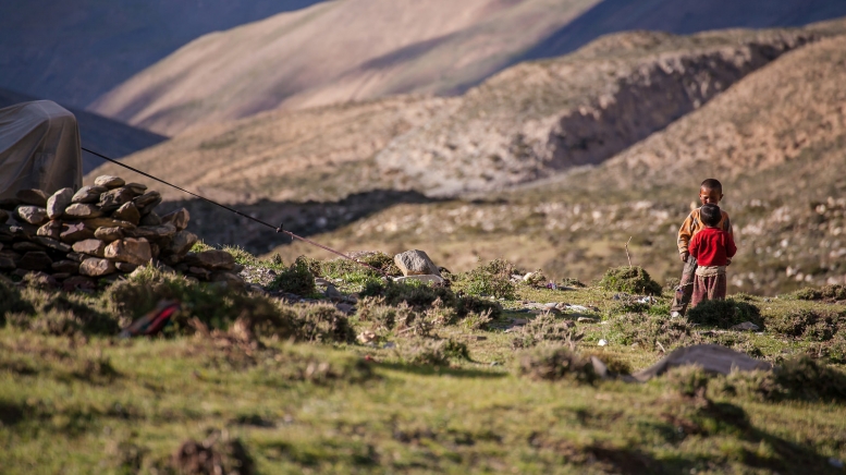 Автор: ErWin, источник: visualhunt