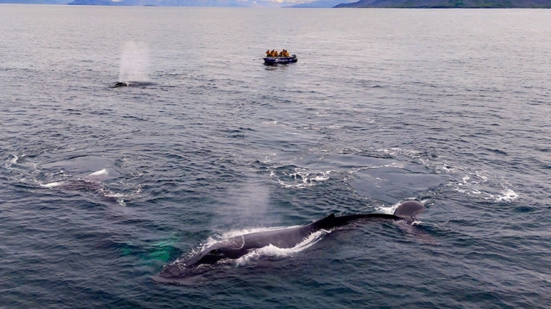 Фото из архива Клуба