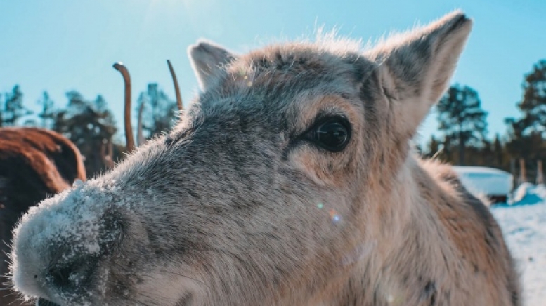 Фото: Stephan Deinhamer, unsplash.com