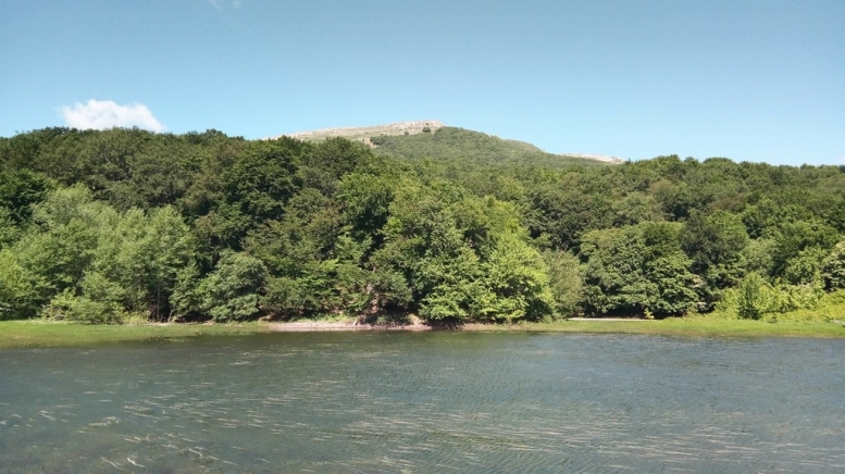 Фото нашего гида Галины Шелудько