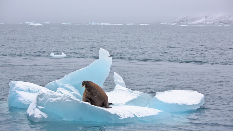 Фото из архива Клуба
