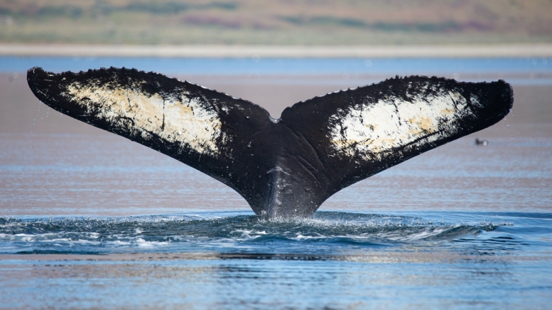 Фото из архива Клуба