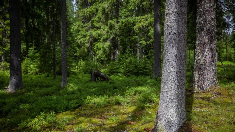 Фото нашего гида Михаила Верёвченко
