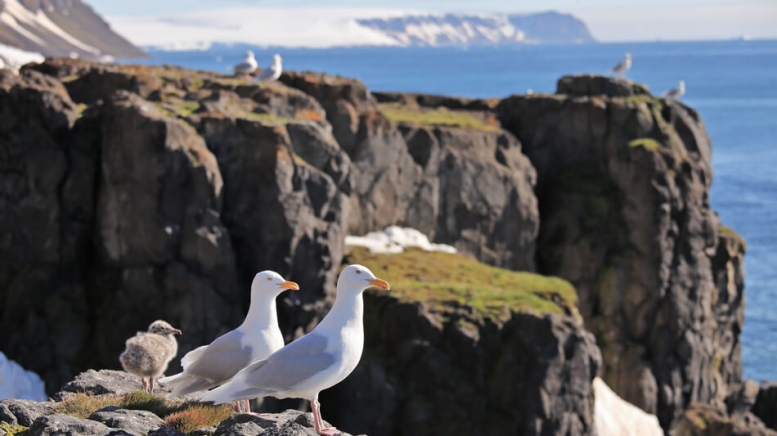 Фото из архива Клуба