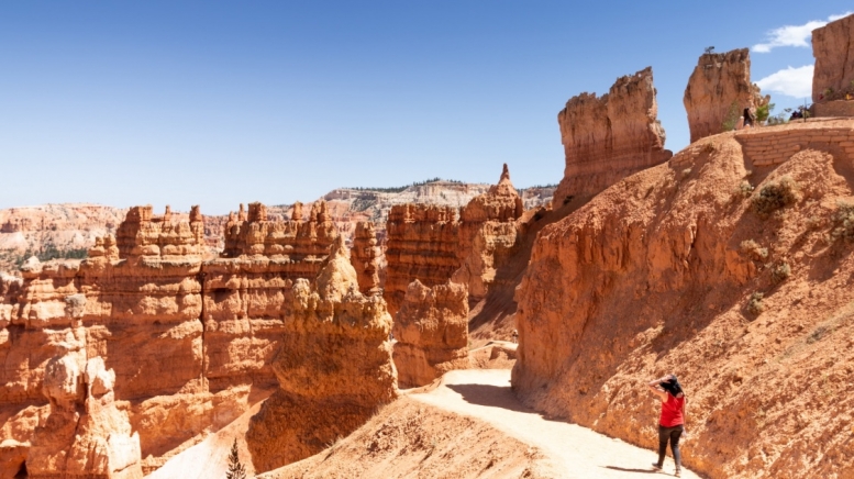 Фото: Jordi Vich Navarro, unsplash.com