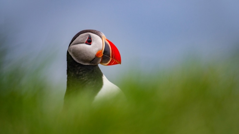 Фото из архива Клуба