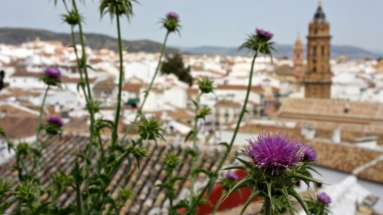 Фото: Active Andalus, visualhunt.com