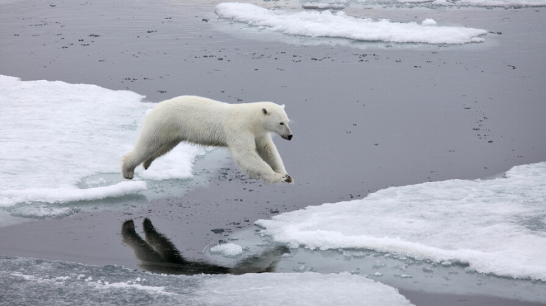 Фото из архива Клуба