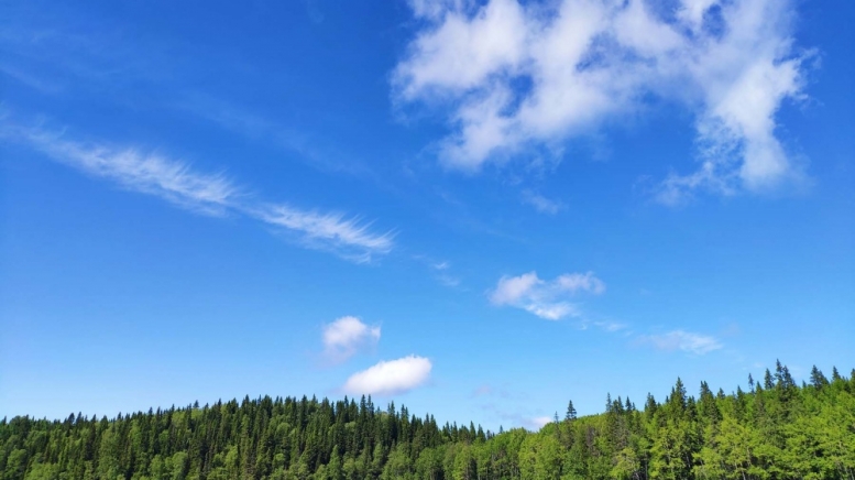 Фото нашего гида Евгении Скопиной