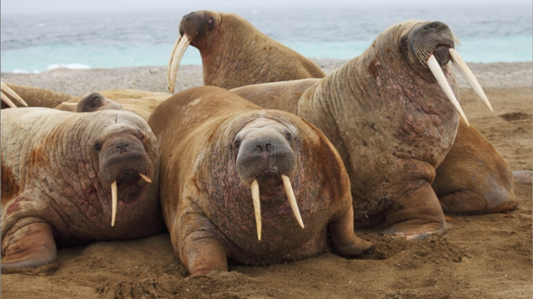 Фото из архива Клуба