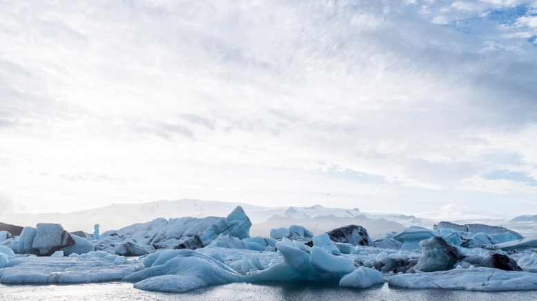 Фото: Majkl Velner, unsplash.com