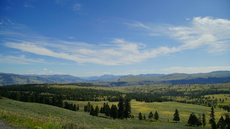 Фото: Sebastian, unsplash.com