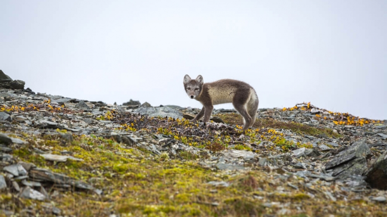 Фото из архива Клуба