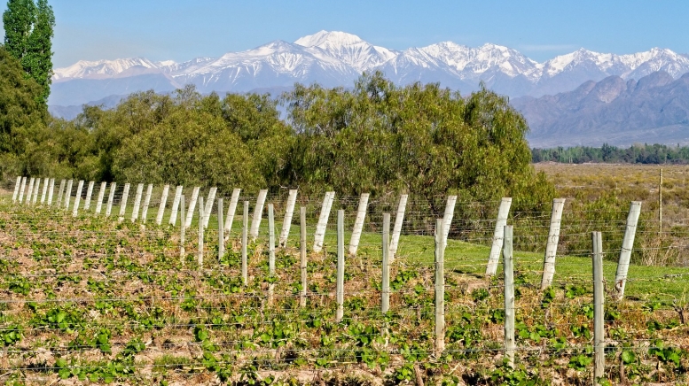 Источник фото: derrick.beaudiere on Visual hunt