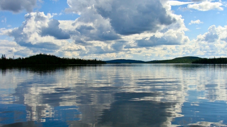 Фото: Виктория Шульга