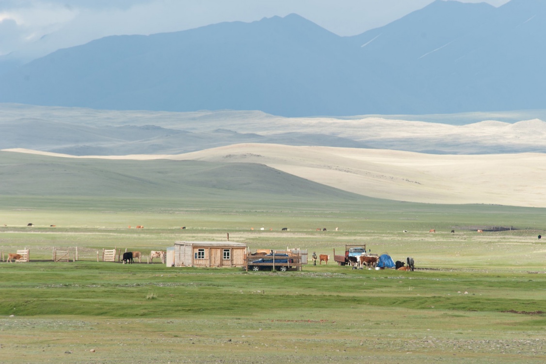 Ташанта. Ташанта Ховд. Цагааннуур Монголия. Steppe Hotel Ховд.