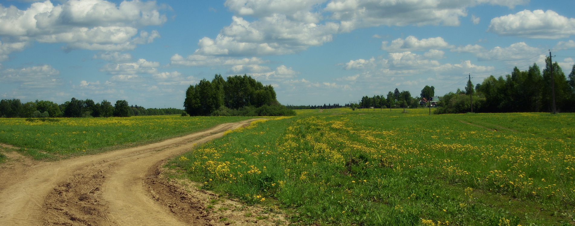 Лесная прогулка в Звенигород