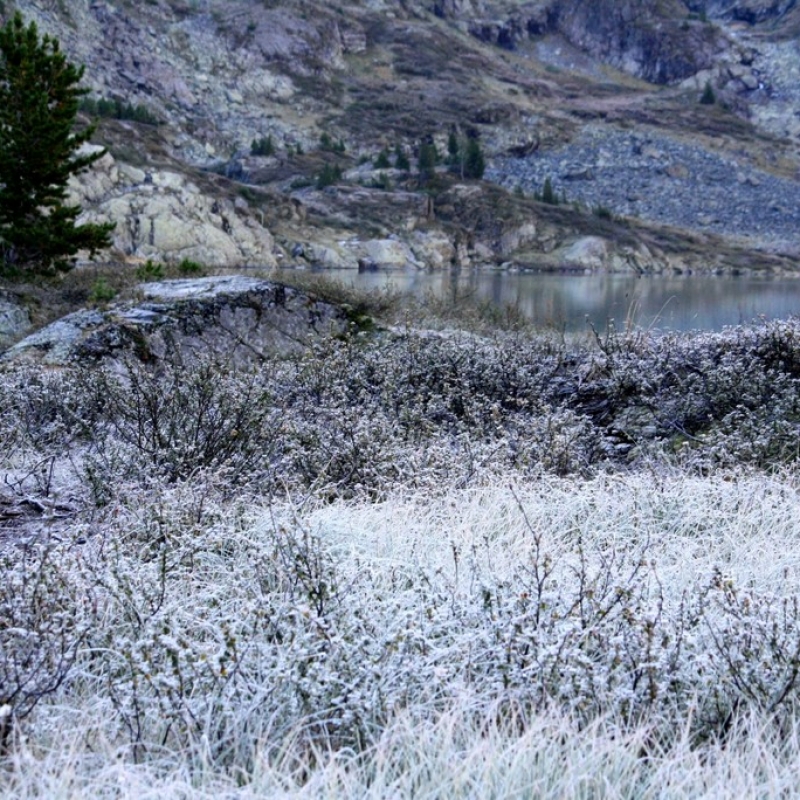 Ранним утром все было покрыто серебром!