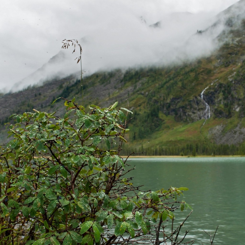 После дождя.