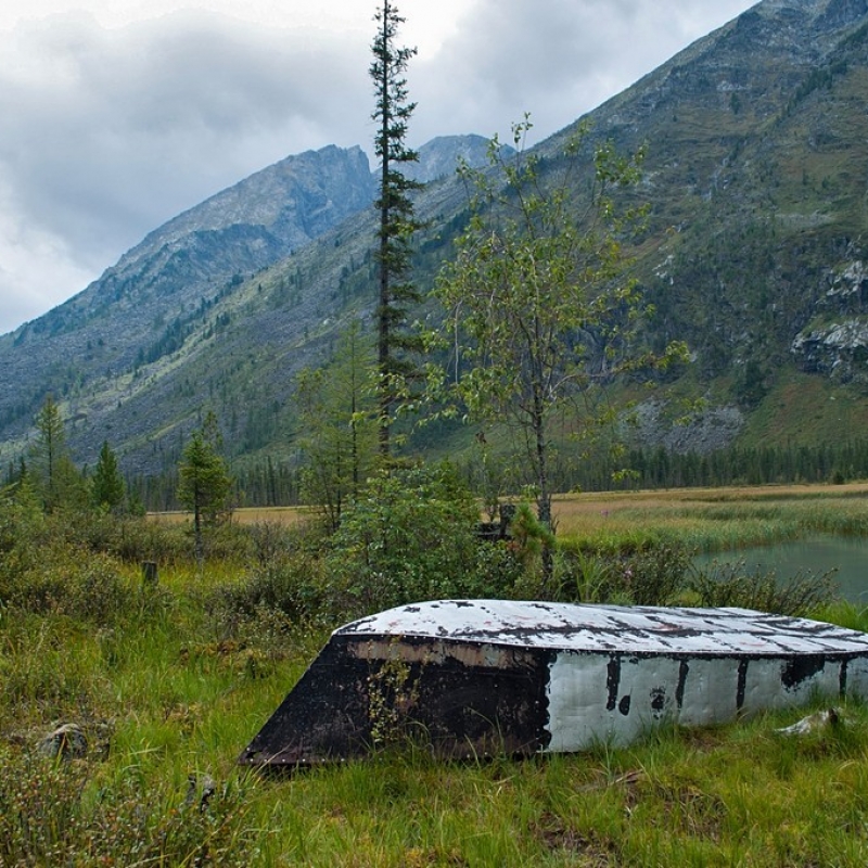 Вот такая пастораль. На кордоне.