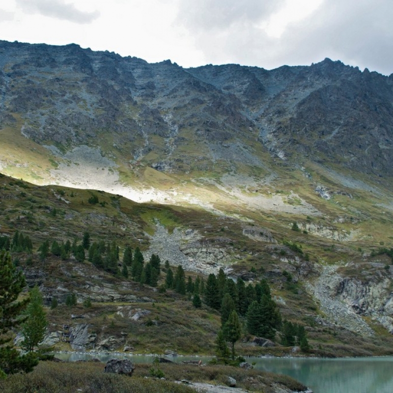 Солнечное окно.