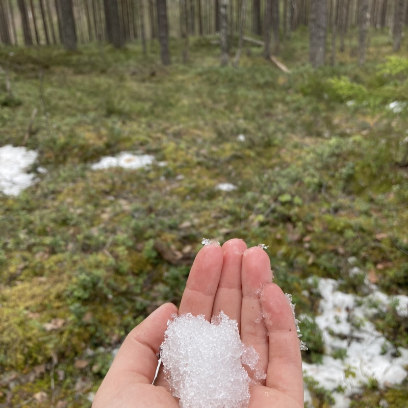 Фото нашей Странницы Ирины Трониной