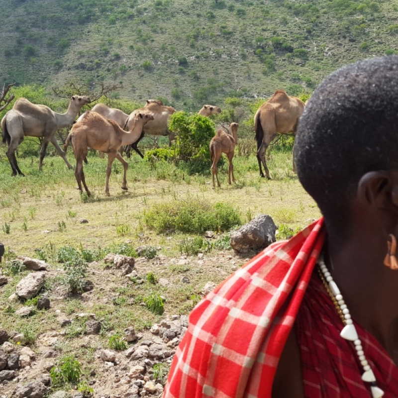 Фотографии из путешествия