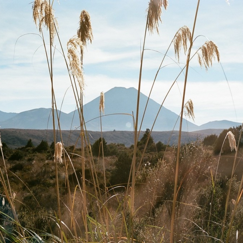 Вид на вулкан Тонгариро.
