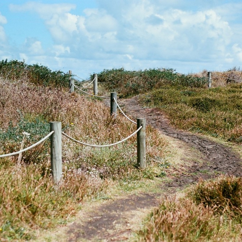 Тропинка на пляж.