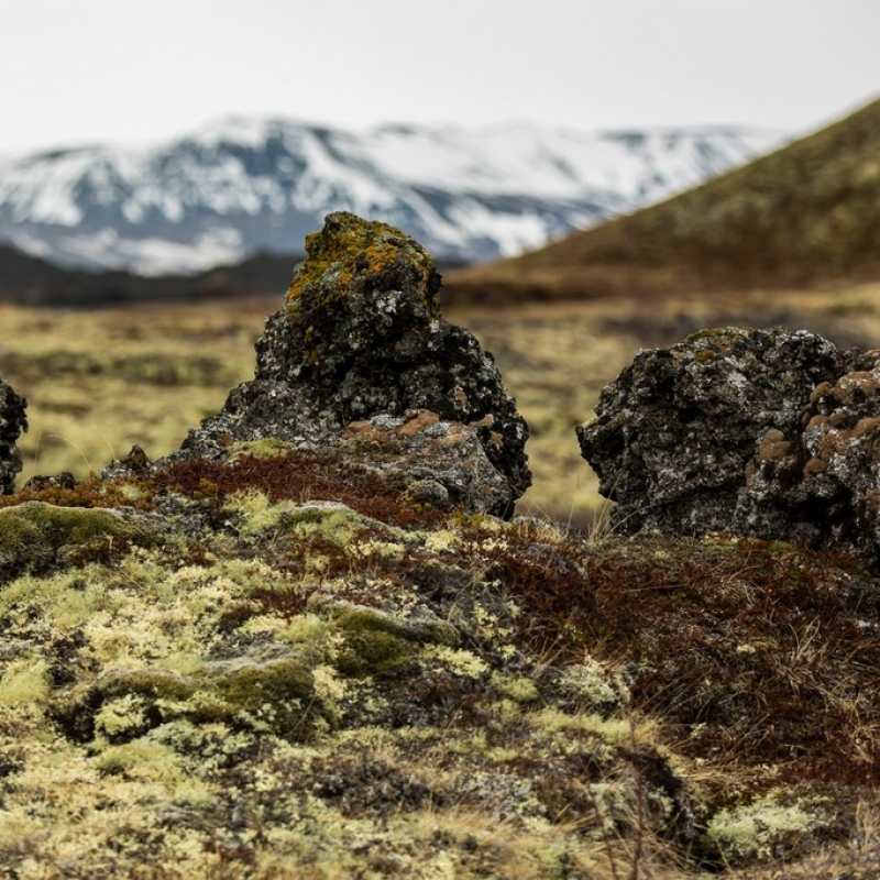 Лавовое поле