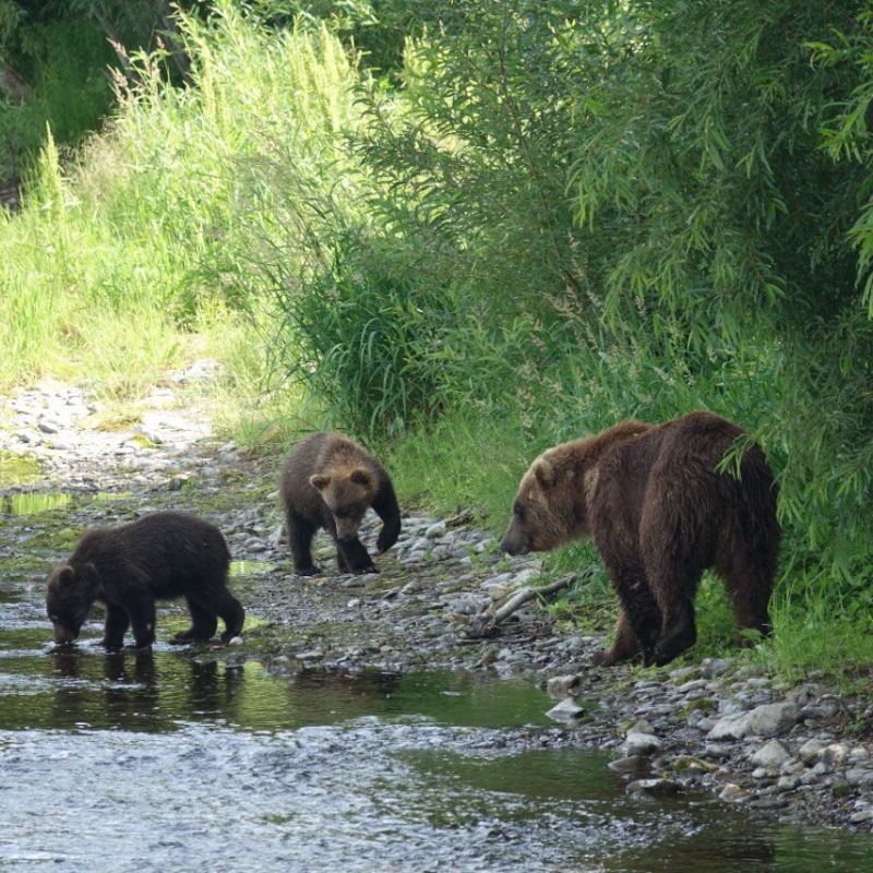 Фото наших Странников