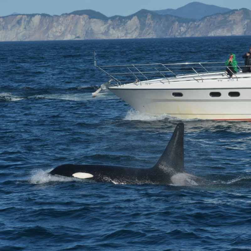 Фото наших Странников