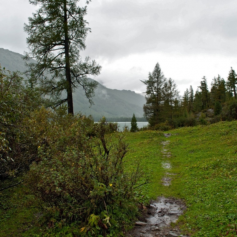 После дождя.