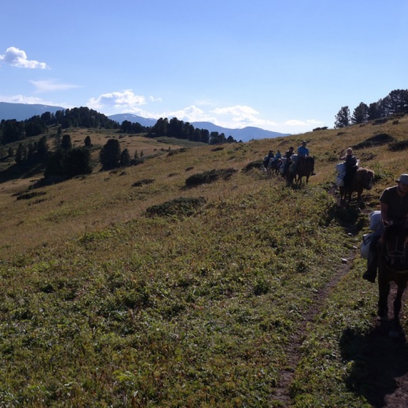 Наш большой караван