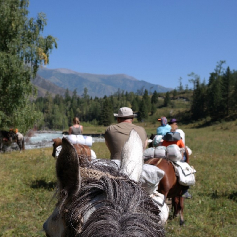 Выходим в путь. Ухо в остро!