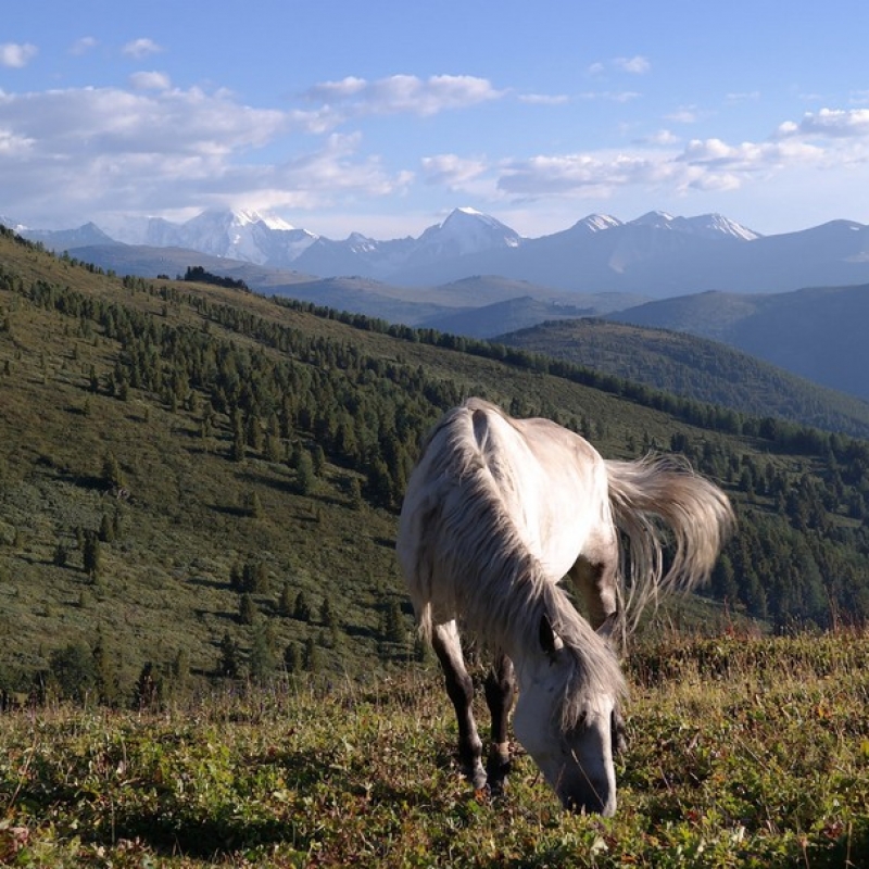 Спутники в нашем походе
