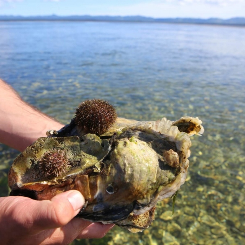 Фото из архива Клуба