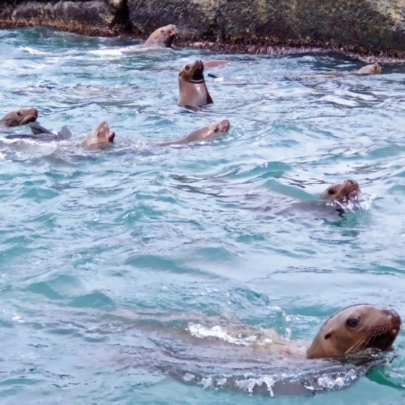 Фото из архива Клуба