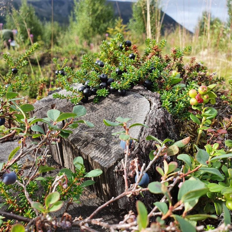 Фото наших Странников