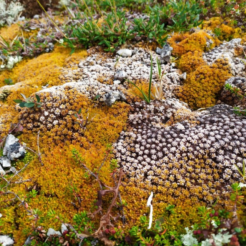 Фото наших Странников