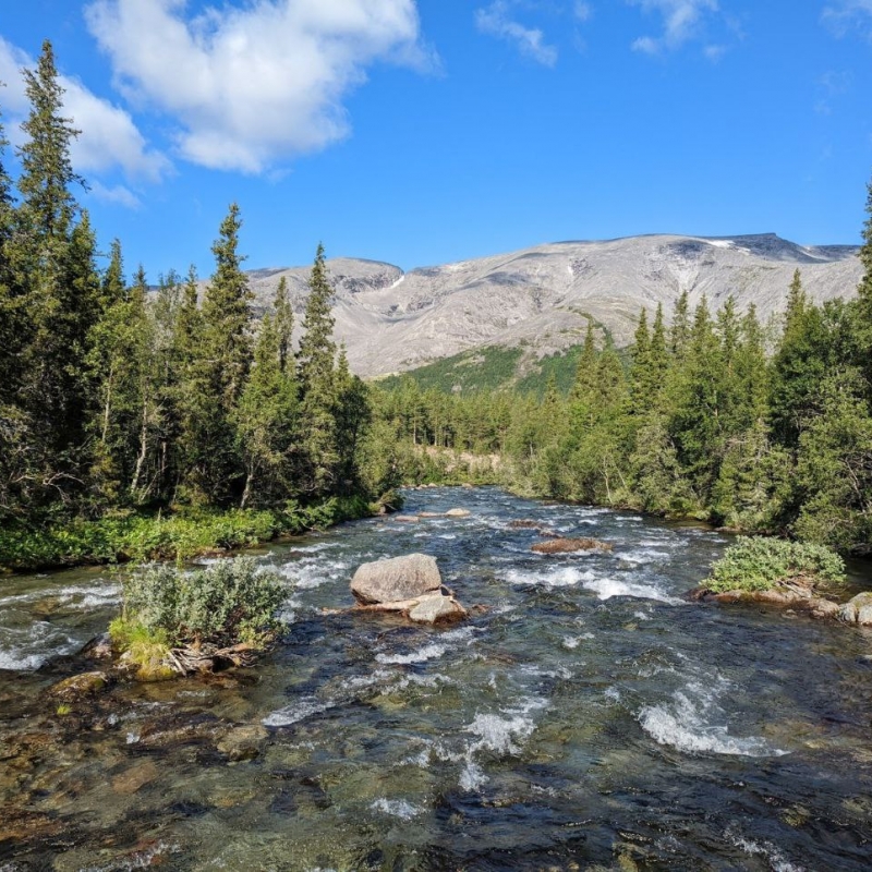 Фото наших Странников