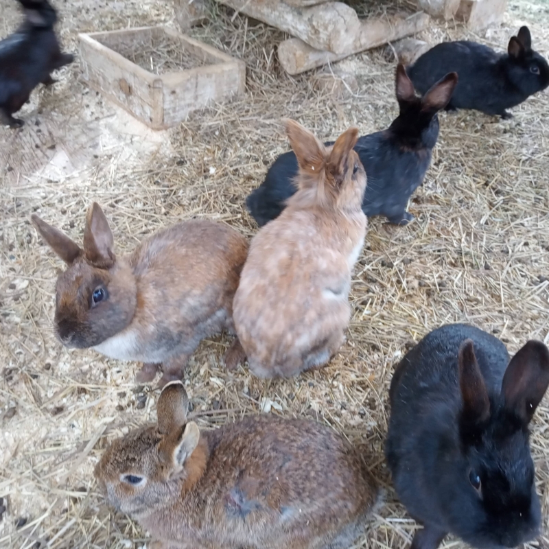 Фото нашего гида Ирины Пряничниковой