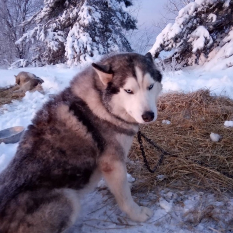 Фото нашего гида Ирины Пряничниковой