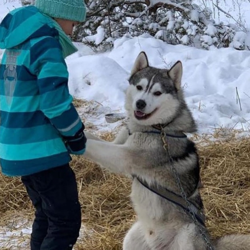 Фото нашего гида Ирины Пряничниковой