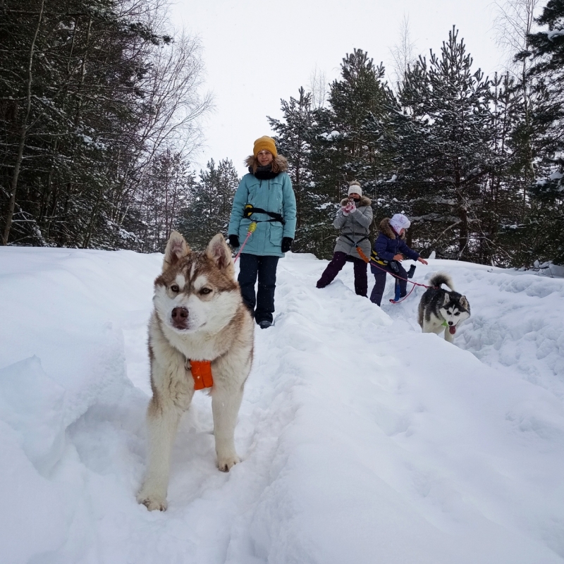 Фото нашего гида Ирины Пряничниковой
