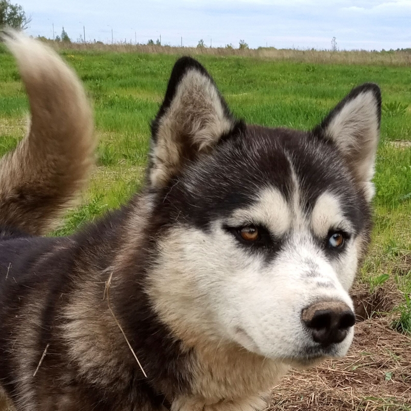 Фото нашего гида Ирины Пряничниковой