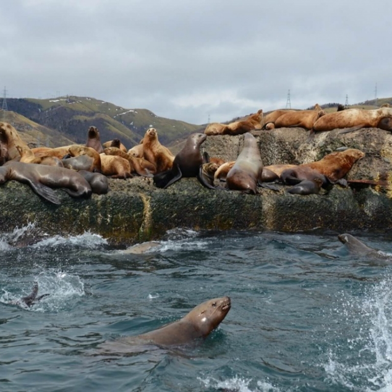 Фото из архива Клуба