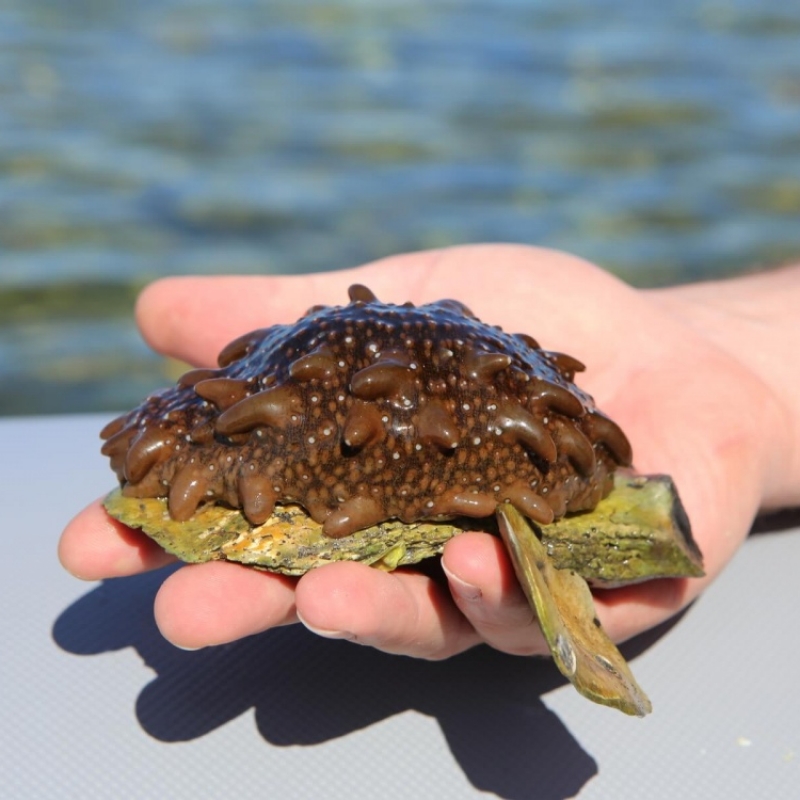 Фото из архива Клуба